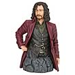 Harry Potter Sirius Black Year 5 Mini Bust